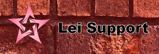 iFC 静岡店 レイサポート